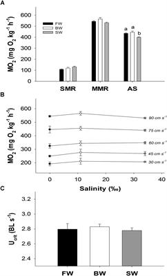 Oxygen Uptake and Osmotic Balance of Atlantic Salmon in Relation to Exercise and Salinity Acclimation